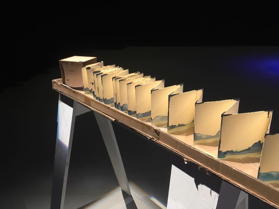 close up of 100 page accordion book and cardboard slipcase with cyanotype along bottom, displayed in long cardboard tray filled with water.